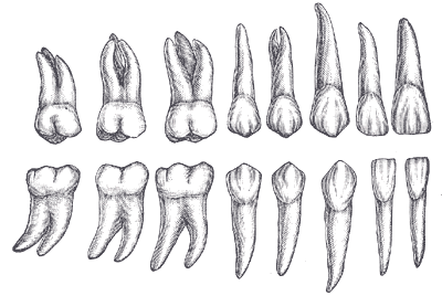 Fig. 1002