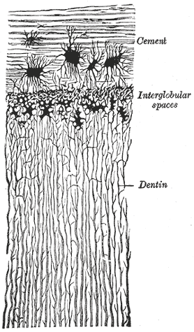 Fig. 1008