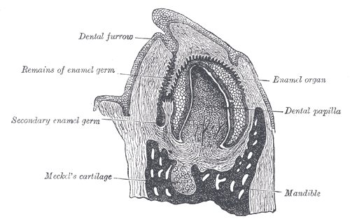Fig. 1011