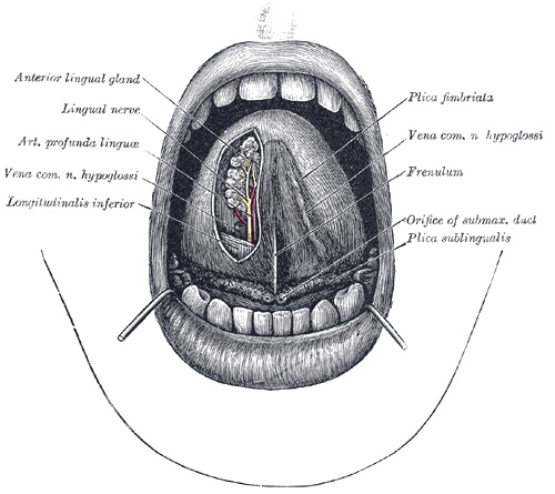 Fig. 1013