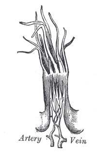 Fig. 1016