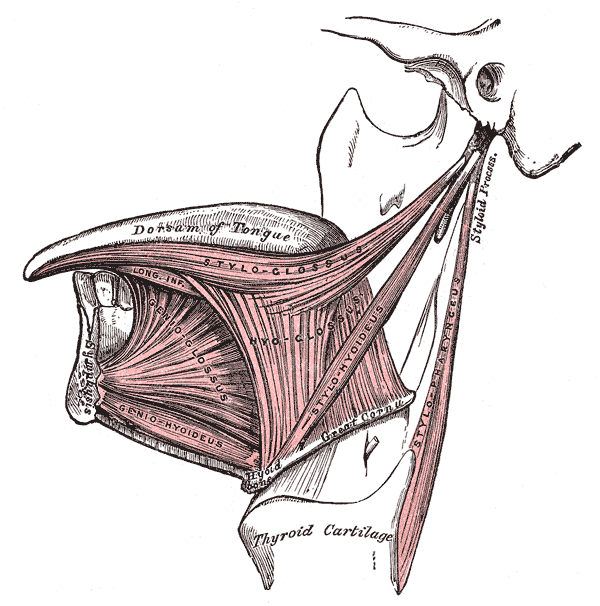 Fig. 1019