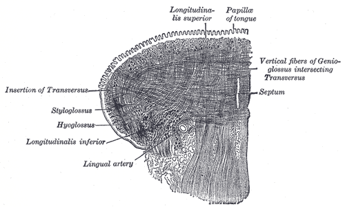 Fig. 1020