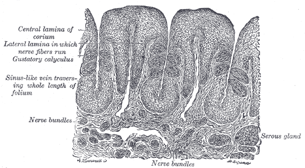 Fig. 1021