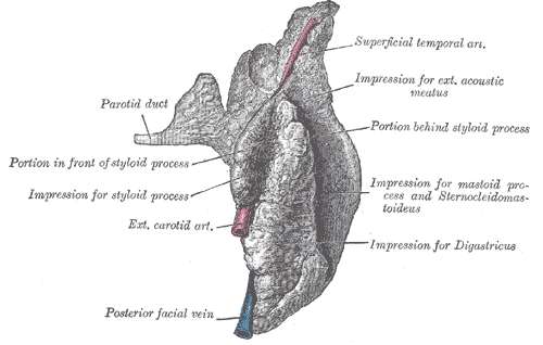 Fig. 1022