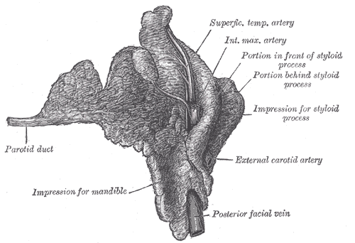 Fig. 1023