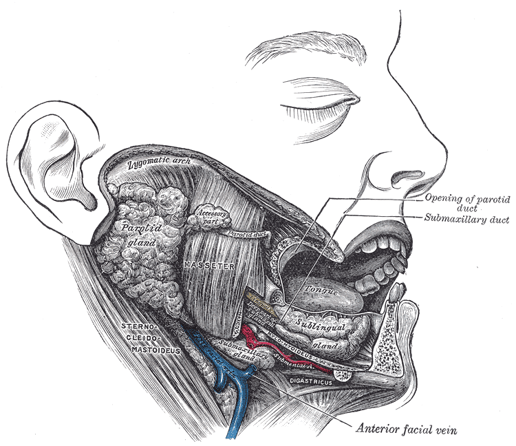 Fig. 1024