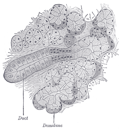 Fig. 1025