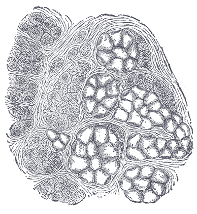Fig. 1026