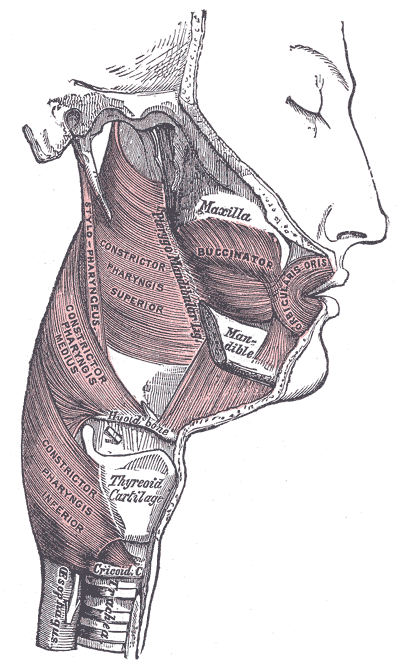 Fig. 1030