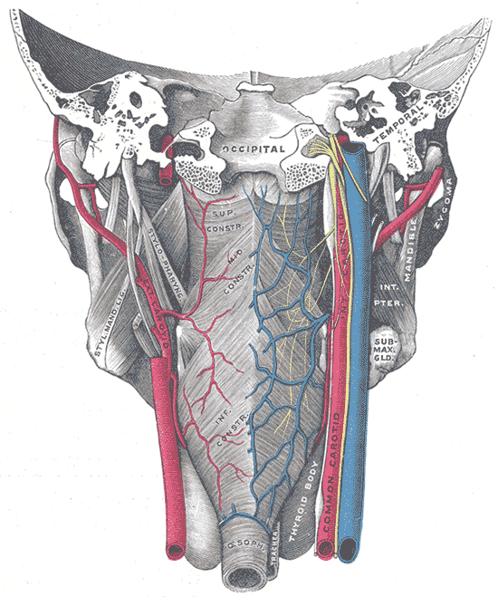Fig. 1031