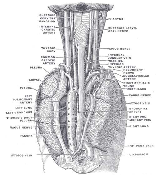 Fig. 1032