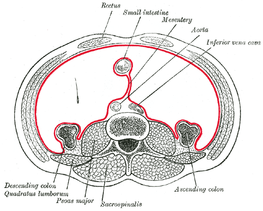 Fig. 1038
