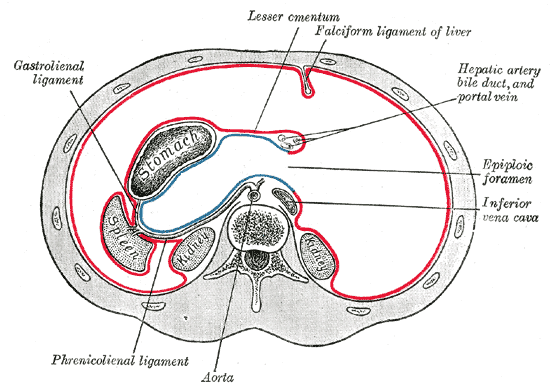 Fig. 1039