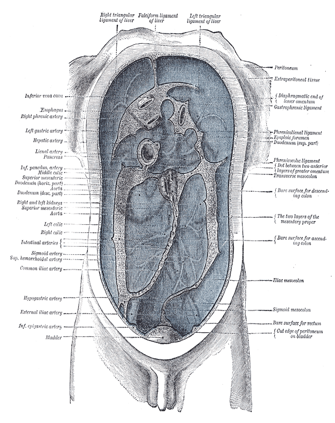 Fig. 1040