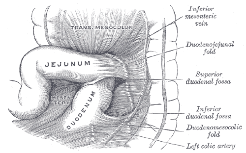 Fig. 1041