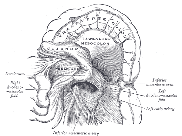 Fig. 1042