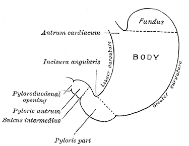 Fig. 1046