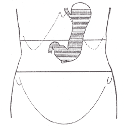 Fig. 1048