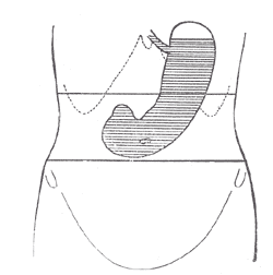 Fig. 1049