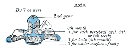 Fig. 105