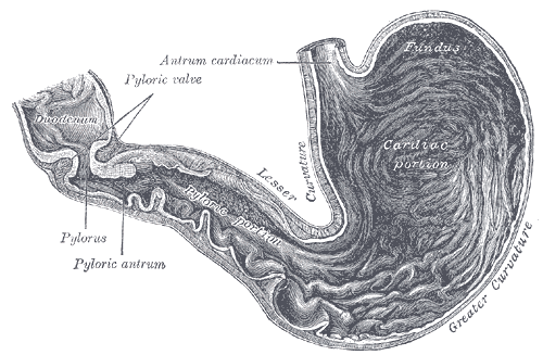 Fig. 1050