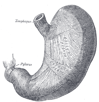 Fig. 1052