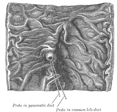 Fig. 1057