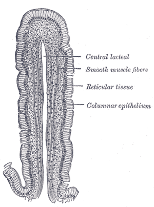 Fig. 1059