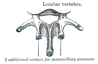 Fig. 106