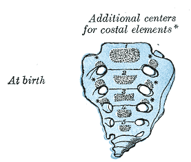Fig. 107