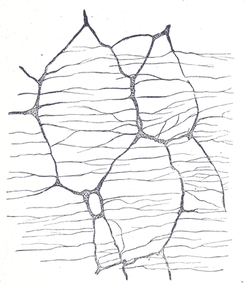 Fig. 1071