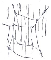 Fig. 1072