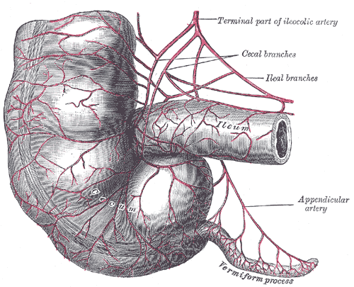 Fig. 1073
