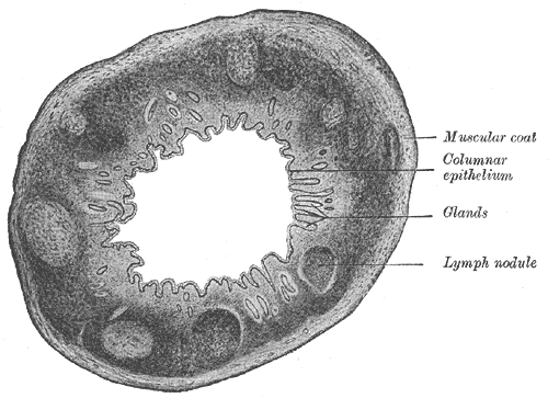 Fig. 1074
