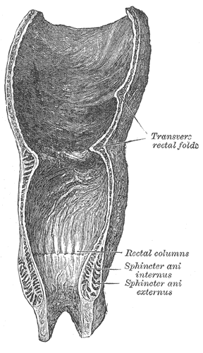 Fig. 1078