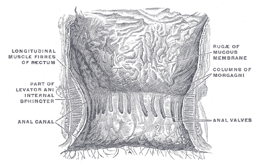 Fig. 1080