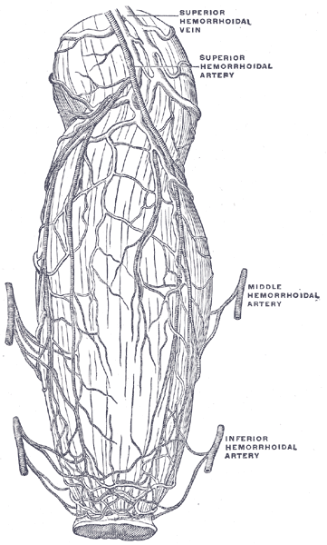Fig. 1083