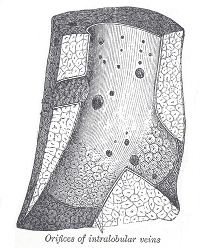Fig. 1089