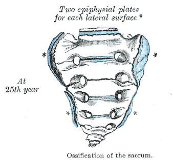 Fig. 109