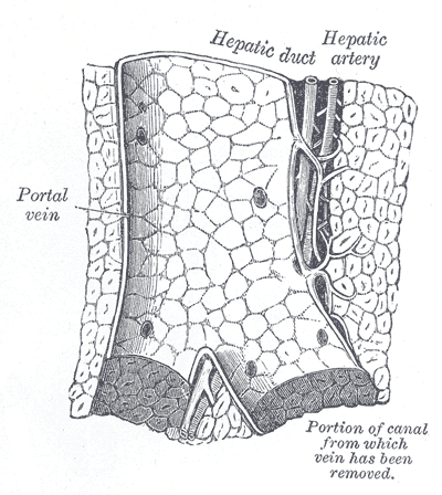 Fig. 1090