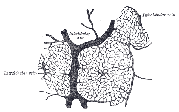 Fig. 1091