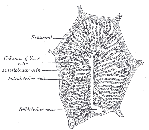 Fig. 1092