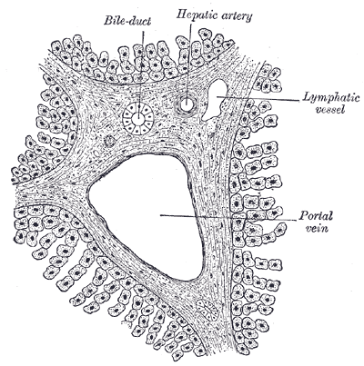 Fig. 1093