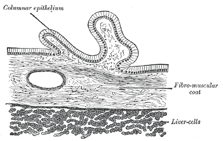 Fig. 1096
