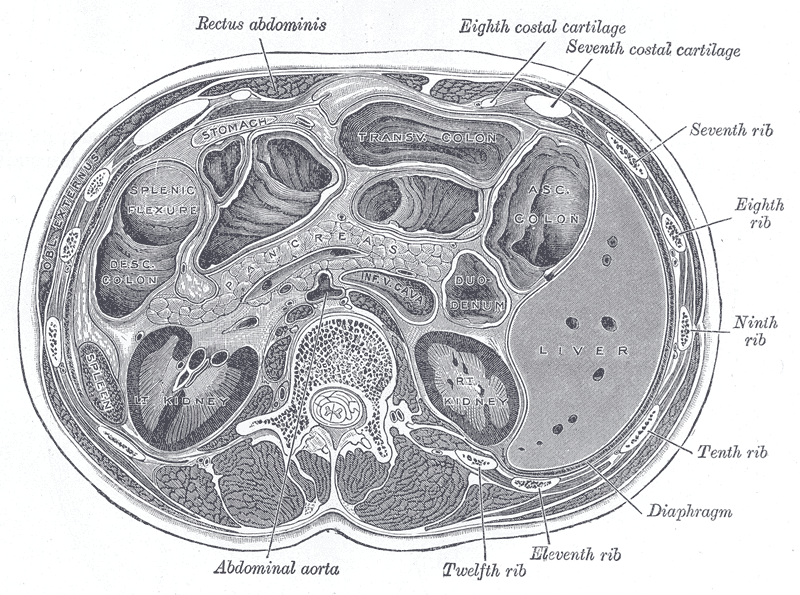 Fig. 1097