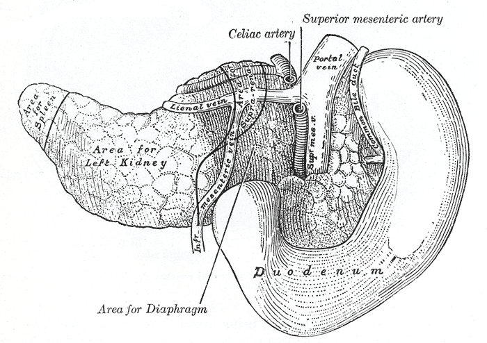 Fig. 1099