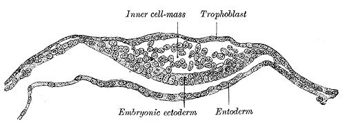 Fig. 11