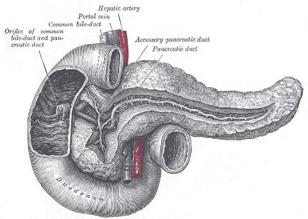 Fig. 1100