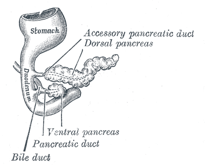 Fig. 1101